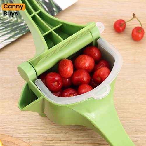 Manual Press Plastic Fruit Juicer