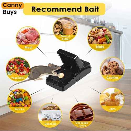 Reusable Plastic Mouse Trap