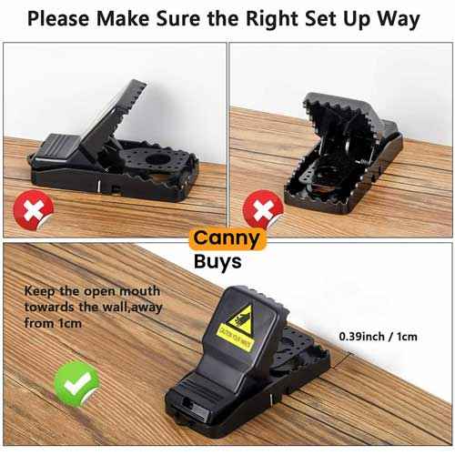 Reusable Plastic Mouse Trap