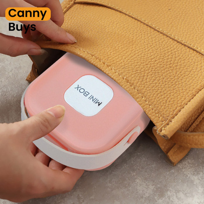 Plastic Jewelry Box With Mirror - Canny Buys