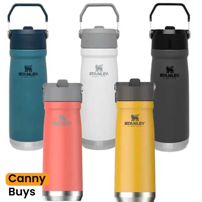 Stanley IceFlow Stainless Steel Bottle (650ML) in Pakistan - Canny Buys